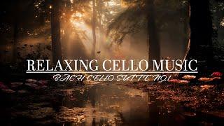 Bach Relaxing Sounds of Cello️Classical Music to MeditateCello Suite no.1