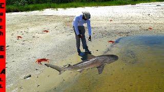 FISHING in CRAB ISLAND's Hidden SHARK LAKE!