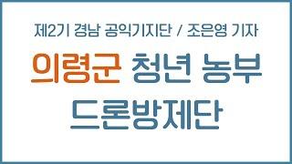 의령군 청년농부 드론방제단 - 조은영 기자