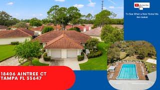 18406 Aintree CT Tampa FL 33647