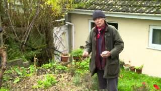 Growing Vegetables - Crop rotation and green manure with Patrick Whitefield - Video 7