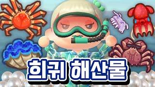 3시간만에 1마리 잡은.. 역대급 희귀해산물 전부 잡기 프로젝트