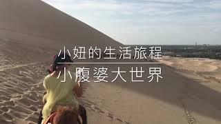 小妞的生活旅程+小腹婆大世界