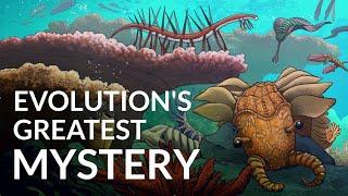 What Caused The Cambrian Explosion?