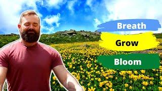 Guided Deep Breathing For Growth and Blooming