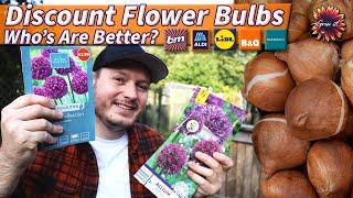 Are Budget Bulbs Any Good? | Comparing And Planting 8 Packs