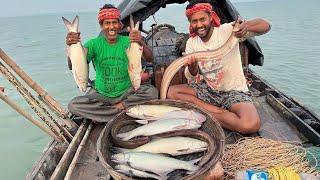 আজ মাতলা নদীতে বড়শি দিয়ে বেশ ভালো তেরো মাছ পেলাম!!! wildlife of sundarban part - 1