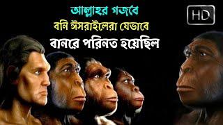 আল্লাহর গজবে বনি ঈসরাইলেরা যেভাবে বানরে পরিনত হয়েছিল || The Story of Sabbath Breakers || Md Tamim