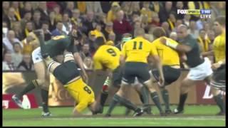 SOUTH AFRICA RUGBY TRIBUTE