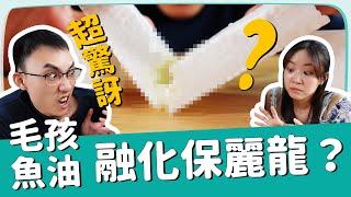 ◆融化保麗龍的『寵物魚油』？能吃嗎？實測超驚訝！【毛孩吃什麼EP3】 ∣ 狗 魚油 ∣ 貓 魚油 ∣ 寵物展攻略