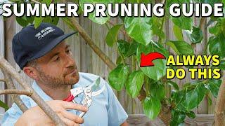 Do This NOW, Prune Less Later: A Guide To Summer Pruning Fruit Trees