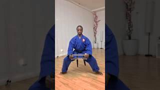 Toyka-Ryu & V.S.K. jiujitsu Ryu #jiujitsu whenchicollides@gmail.com for training