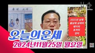 오늘의운세 2024년11월25일 띠별운세/2025년 운세 나쁜 띠와 나이 #운세 #오늘의운세 #2025년운세 #띠별운세 #나이