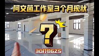 阿文菌3D打印工作室成立3个月现状！除了代打，还有哪些业务呢？欢迎多多交流。