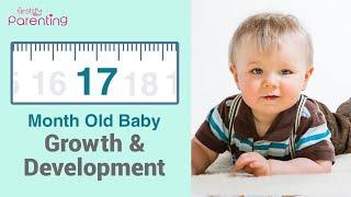 Your 17 Month Old Baby's Growth and Development