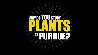 Plant Sciences: Why I Study Plants