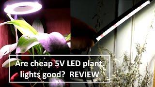 REVIEW Are cheap LED plant lights any good?