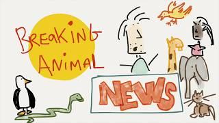  BREAKING ANIMAL NEWS! - The Brant Hansen Show