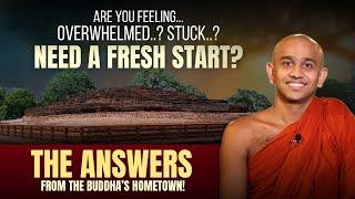 Step Into History—And Onto a New Path in Life | Buddhist Teachings | Kapilavastu, Dambadiva