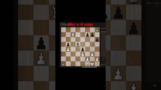 Мат в 4 хода. Отрывок с занятия. #chess777 #chess #шахматы #топ #обучение  #онлайншкола #мск