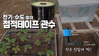 전기, 수도 없는 소규모 텃밭에 점적테이프 관수하세요!!~  전문기술과 지식이 없어도 쉽게 할 수 있는 관수 방법!!  덥다 못해 뜨거운 날씨 지금은 관수 할 때!!