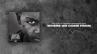 Shy Glizzy - Where We Come From (ft. YoungBoy Never Broke Again) [Official Audio]