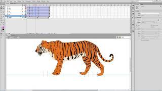 Royal Bengal tiger walk cycle animation tutorial in flash cs6