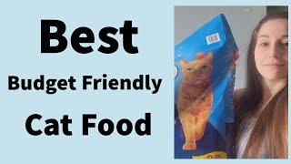 Best Budget Friendly Cat Food Brands #Catfood