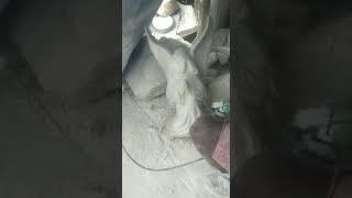 white marble Angel statue making process