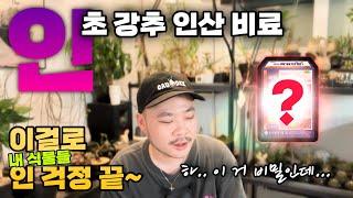 식물의 필수원소 NPK 도장깨기 / 식물에게 인 비료를 주는 가장 좋은 방법 / 미카엘이 쓰는 인산 비료 추천 / 인산 비료 종류 / 인 3편 인 P