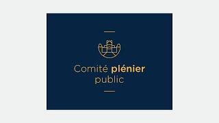 Comité plénier public du 19 novembre 2024