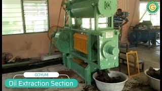 Mini Baobab Oil Extraction Plant Installed on Turnkey Basis in Ghana by Goyum Screw Press