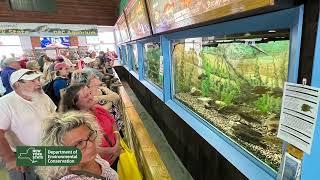 Where do they get the fish for the DEC Aquarium at the State Fair?