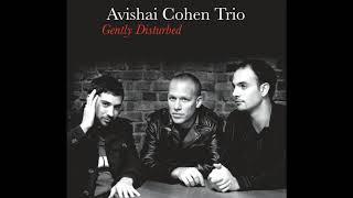 Avishai Cohen - Variations In G Minor