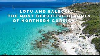 CORSICA. LOTU AND SALECCIA-THE MOST BEAUTIFUL BEACHES OF NORTHERN CORSICA