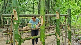 growing vegetables in bamboo tubes, gardening from bamboo stems. Catch crabs and snails in the field