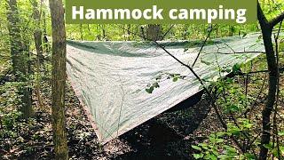 Hammock camping in a small patch of woods near a road