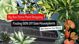 Big Box Store Plant Shopping 50% off Half Price Houseplants at Home Depot Cheap Plants Great Value