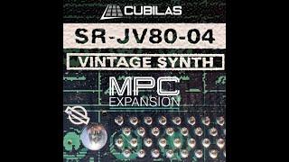 Roland SR-JV80-04 Vintage Synth MPC Expansion from Cubilas.com