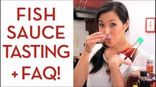 Ultimate Guide to FISH SAUCE - Hot Thai Kitchen