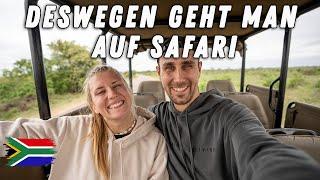 Das erwartet dich auf Safari im Kruger-Nationalpark Südafrika