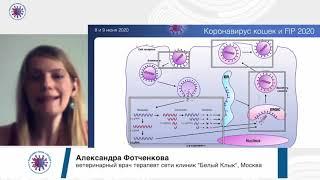 Александра Фотченкова "Коронавирус кошек  и FIP, общие данные о вирусе"