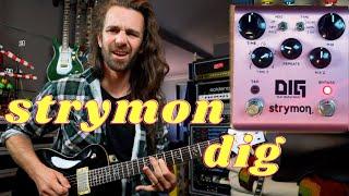 Strymon DIG - The Rack Lovers Delay Pedal