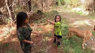 Kian the kiwi kid - Kaingaroa hunting