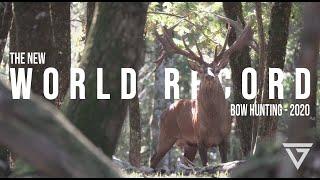 THE NEW WORLD RECORD - European Red Stag ( bow hunting in France 2020 )