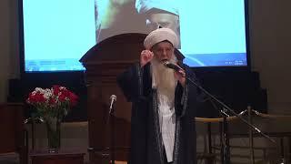 The Miracles of Mawlana Shaykh Nazim (q)