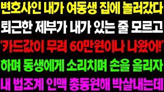 (실화사연) 변호사인 내가 여동생 집에 놀러 갔다 퇴근한 제부가 내가 있는 줄 모르고 동생을 막대하는데.. / 사이다 사연,  감동사연, 톡톡사연