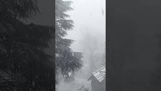 Naggar , snowfall, Himachal Extreme winter #shorts #himachal #viral