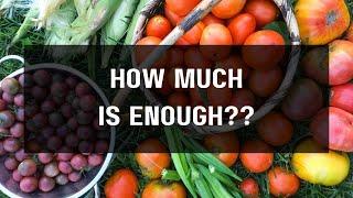 How much food do you need to grow to be self sufficient?