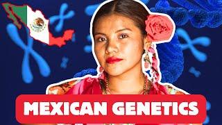 Mind Blowing Mexican Race and DNA Results